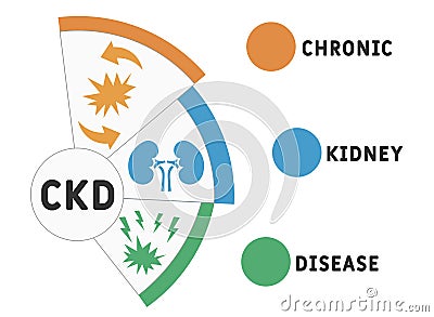 CKD - Chronic Kidney Disease acronym, medical concept background. Vector Illustration